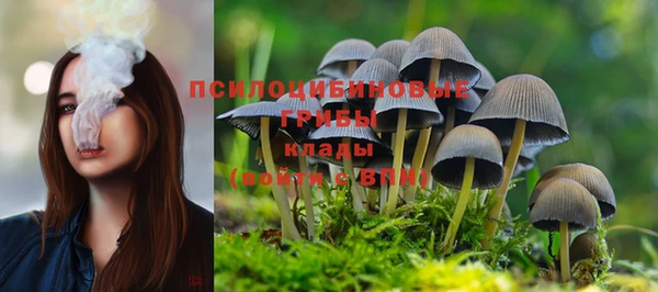 дмт Волоколамск