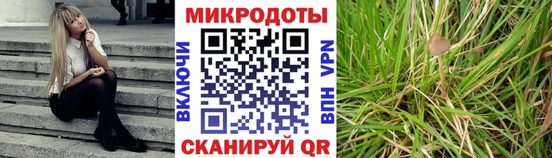 Купить  Красный Холм  Галлюциногенные грибы MAGIC MUSHROOMS 